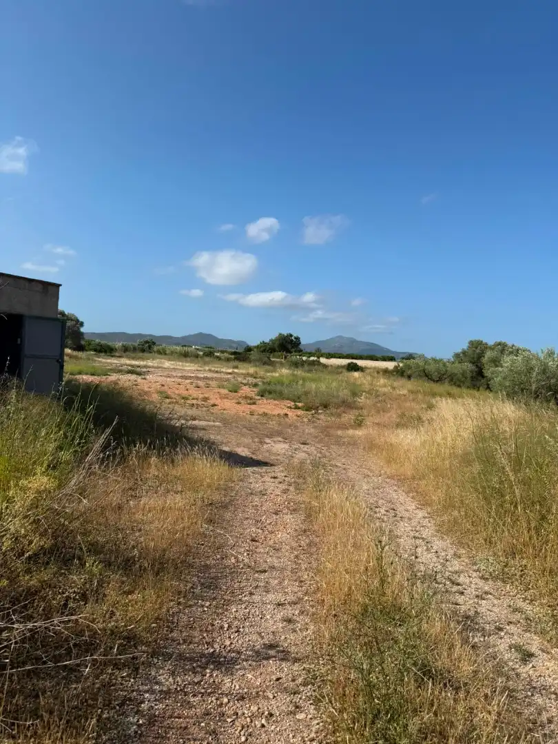 Terreno rustico in vendita a Partidas de interior - Zona Rústica, imagen 30