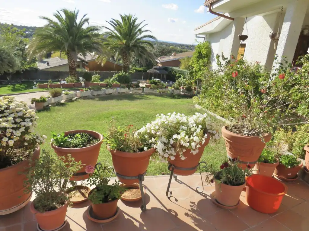 Garden of Houses for sale in Algete