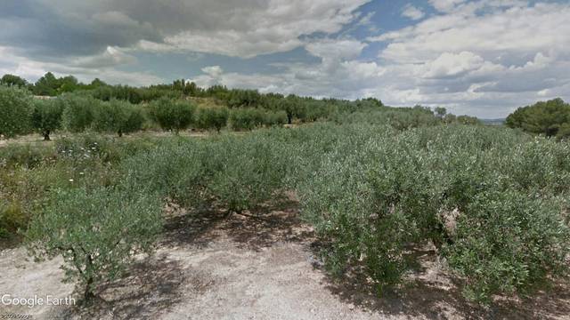 Terreno en Venta en Plaça Numero 3, 460 en Terrateig