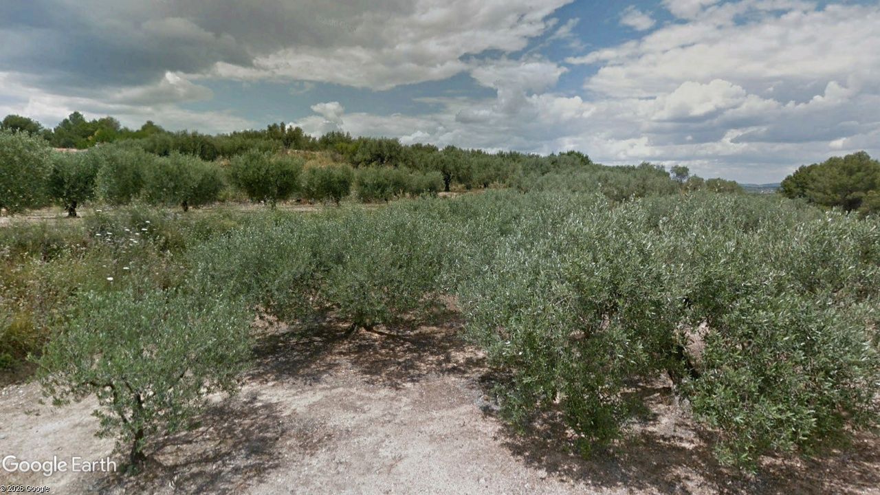 Grundstücke zum verkauf in Terrateig