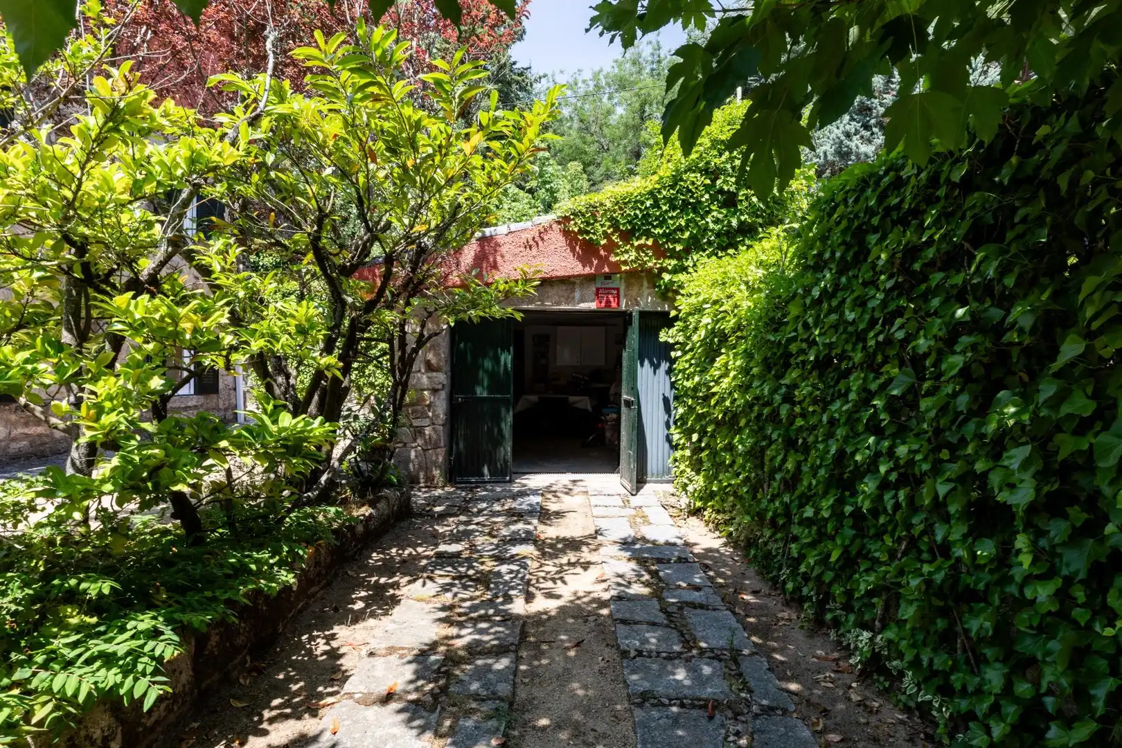 Jardín de Casa o chalet en venta en Navacerrada con Calefacción y Jardín privado