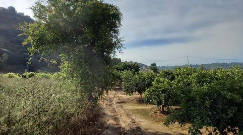 Finca rústica de 1.176 m2 con agua de riego a solo dos minutos a pie de Tivenys, immagine 3