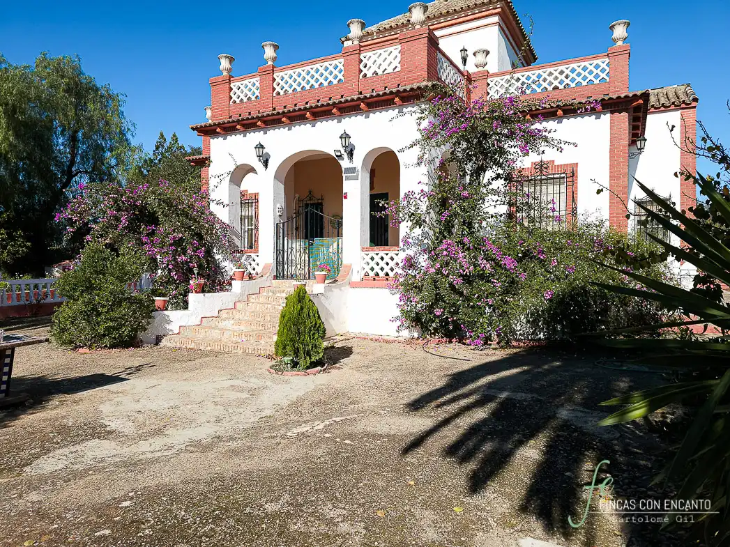 Exterior view of Country homes for sale in Puente Genil  with Terrace and Swimming Pool