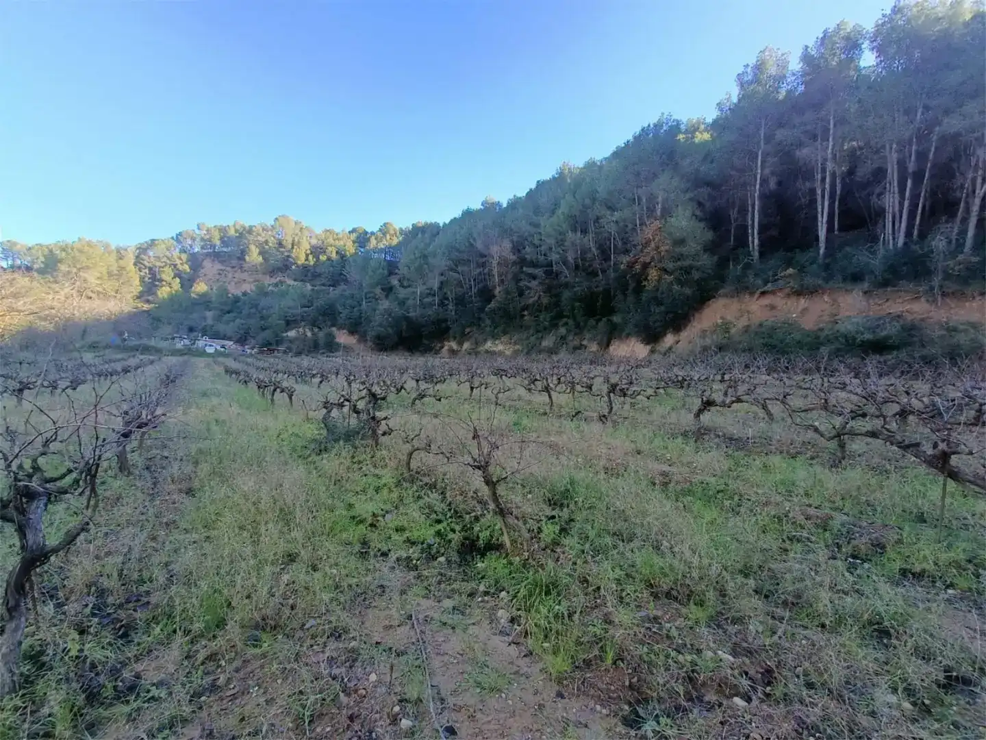 Finca rústica en venda en Esparreguera
