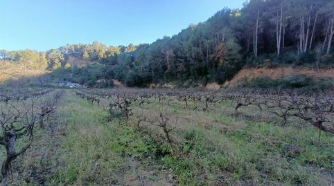 Foto 2 de Finca rústica en venta en B-231, 21, Nucli Urbà, Esparreguera
