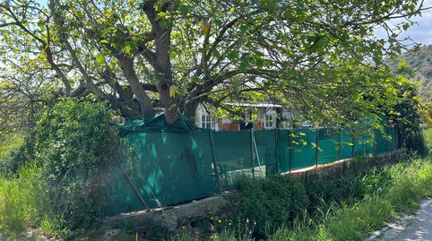 Foto 5 de Finca rústica en venta en Urbanizaciones, Gandia