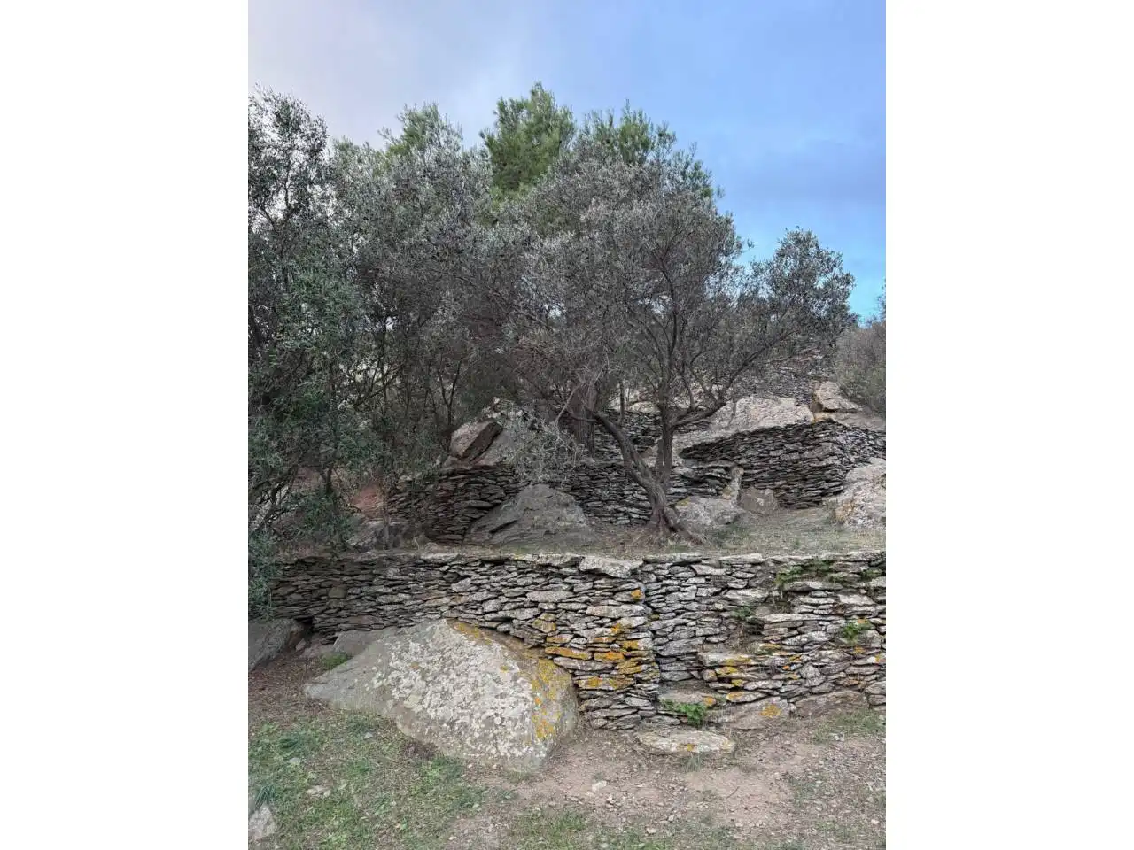 Rural land for sale in Cadaqués, imagen 15