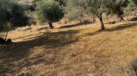 Foto 5 de Finca rústica en venta en Cueva de Menga, Antequera