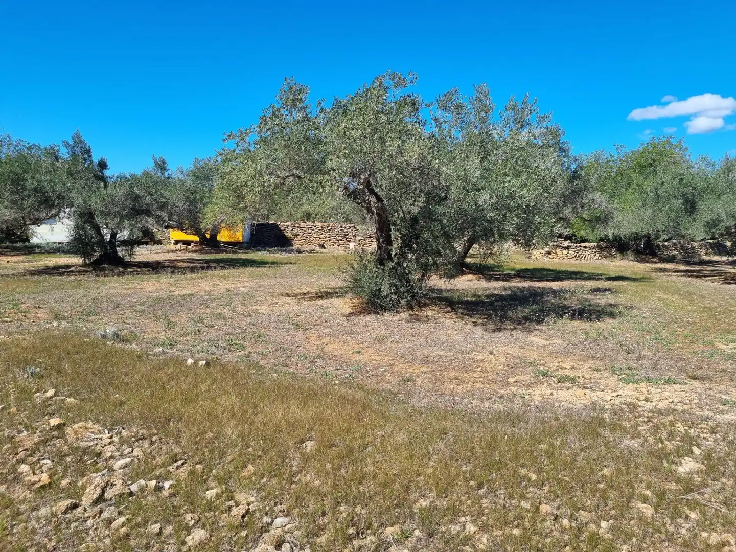 Terreno rustico in vendita a El Perelló, imagen 7