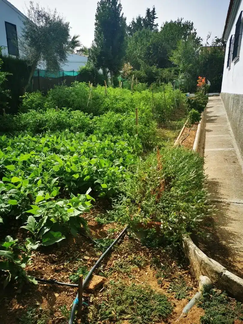 Jardí de Casa o xalet en venda en Cazalla de la Sierra