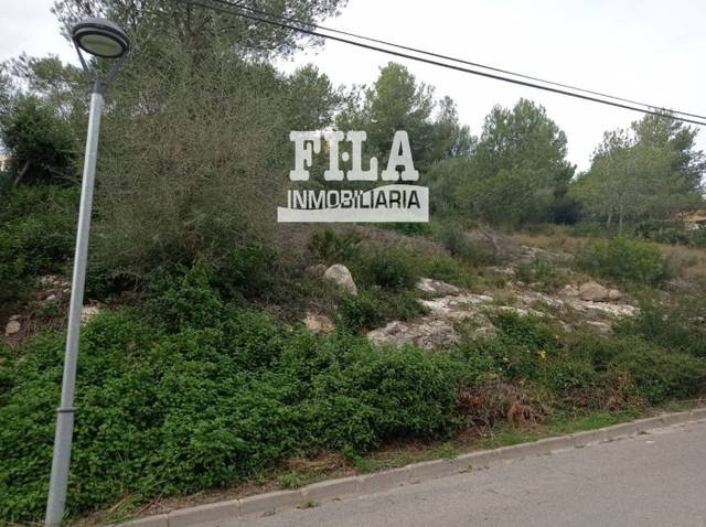 Terreno en Venta en Segur de Dalt