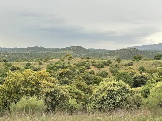 Grundstücke zum Verkauf in El Molar (Madrid)