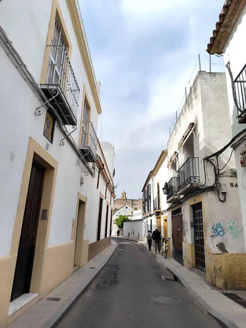 Vista exterior de Casa o chalet en venta en Córdoba con Calefacción, Terraza y Trastero