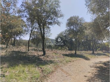 Terreno rústico en venta en Sant Daniel