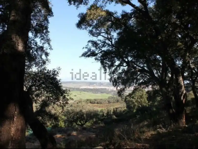 Terreno rustico in vendita a Diseminado Poligono 21 72, imagen 5