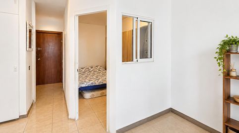 Foto 5 de Piso en venta en El Terreno, Palma de Mallorca