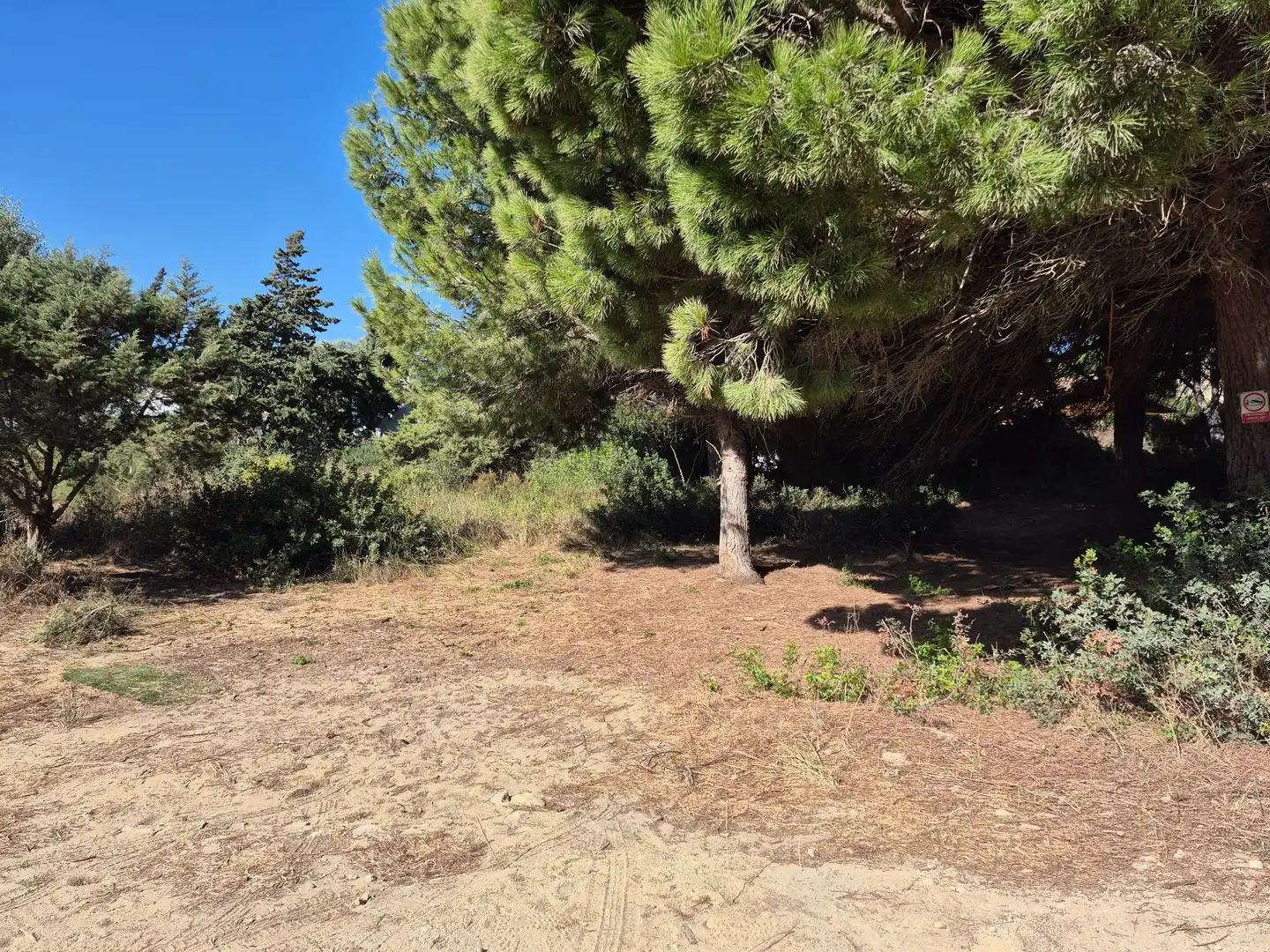Terreno rustico in vendita a Los Caños de Meca