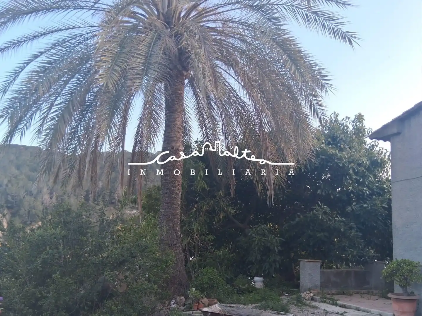 Rural land for sale in Callosa d'en Sarrià, imagen 6