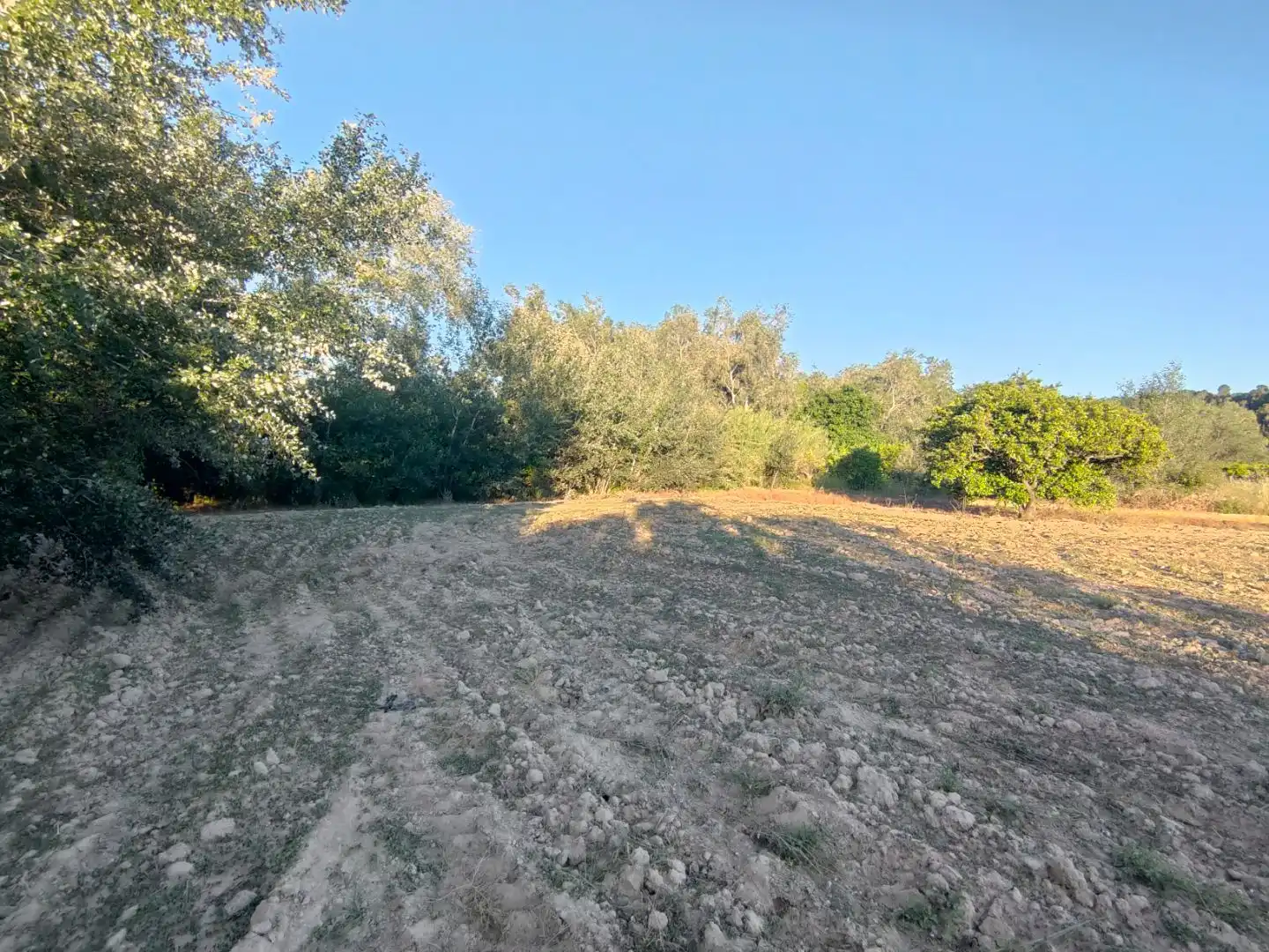 Terrain rustique à vendre à Diseminado Poligon 4 68, imagen 6