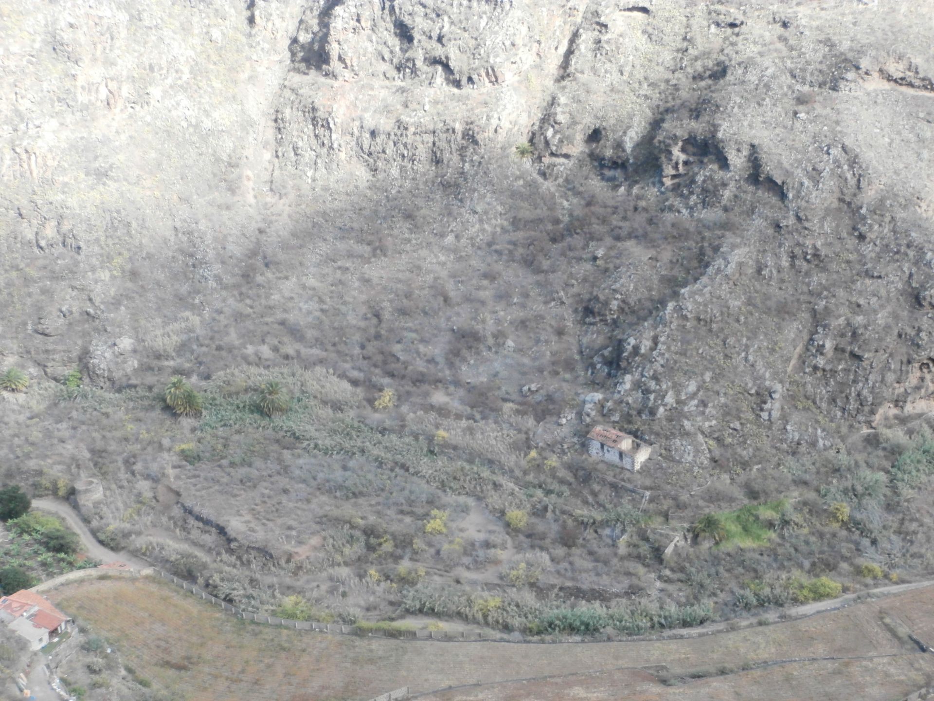 Grundstücke zum verkauf in Firgas