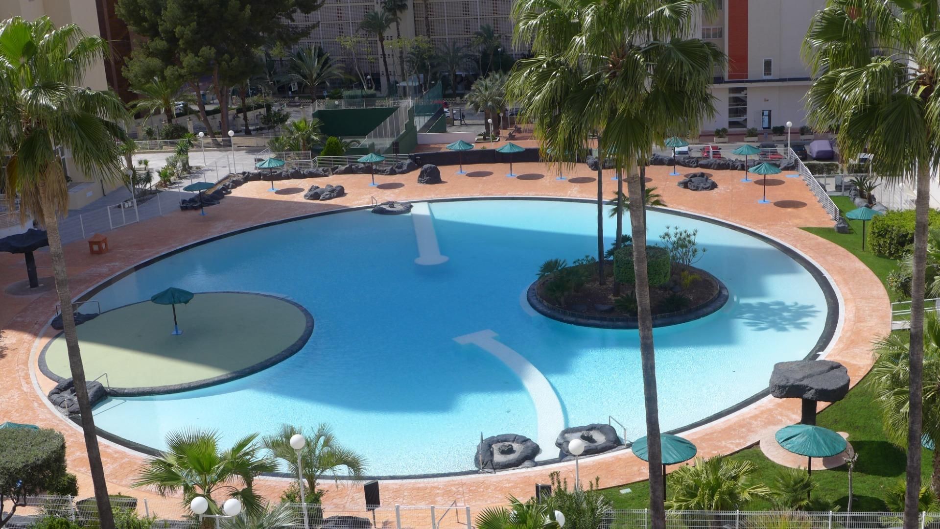 Piscina de Apartament en venda en Benidorm amb Jardí privat, Terrassa i Piscina comunitària