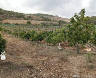 Residencial en venda en Paterna de Rivera