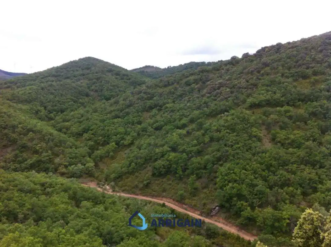 Casa o chalet en venta en La Moraleja con Jardín privado