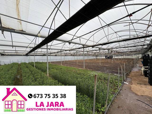 Terreno en Venta en Chipiona en Chipiona Norte