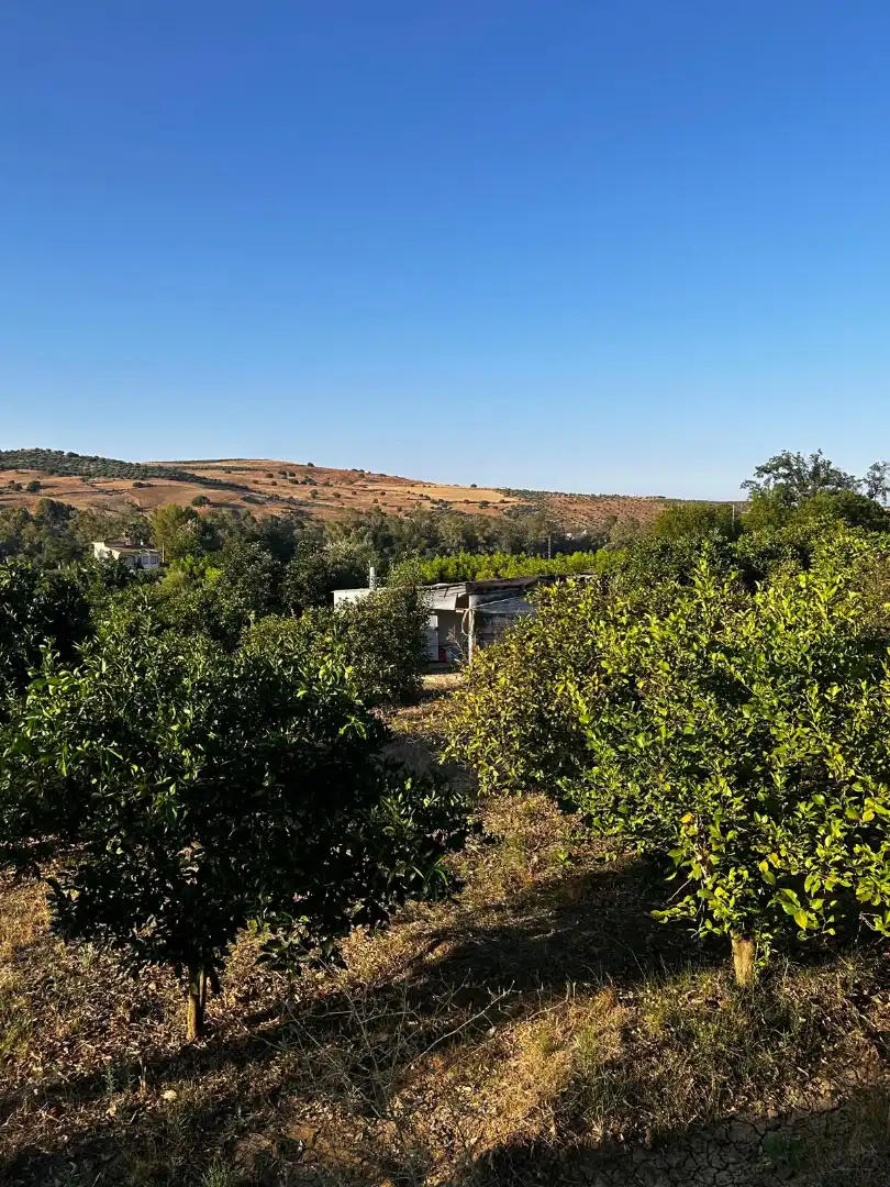 Terrenys i solars en venda a Coín, imagen 11