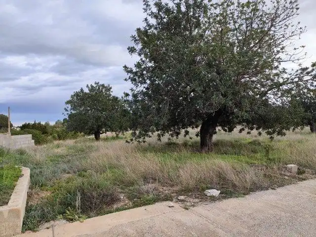 Finca rústica en venta en Cheste