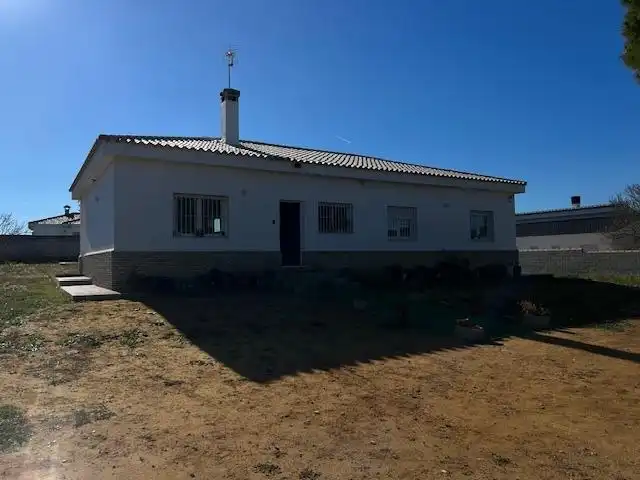 Exterior view of Houses for sale in Chiclana de la Frontera  with Storage room and Swimming Pool