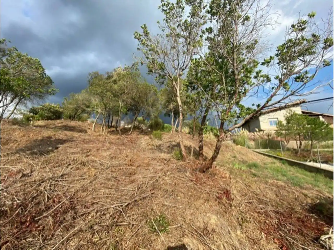 Terreny residencial en venda a Riells i Viabrea