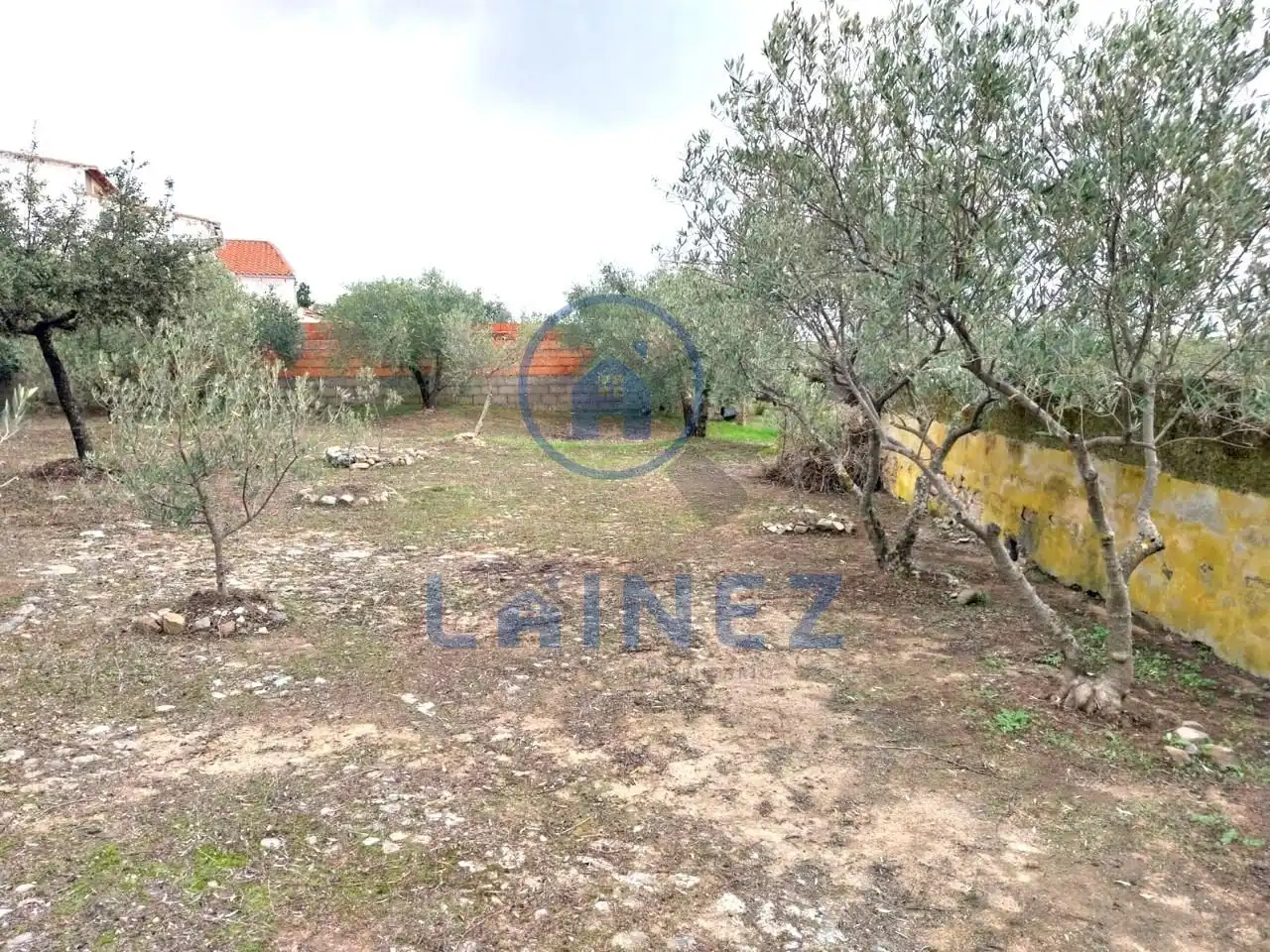 Lands and plots for sale in Fuente Obejuna, imagen 8