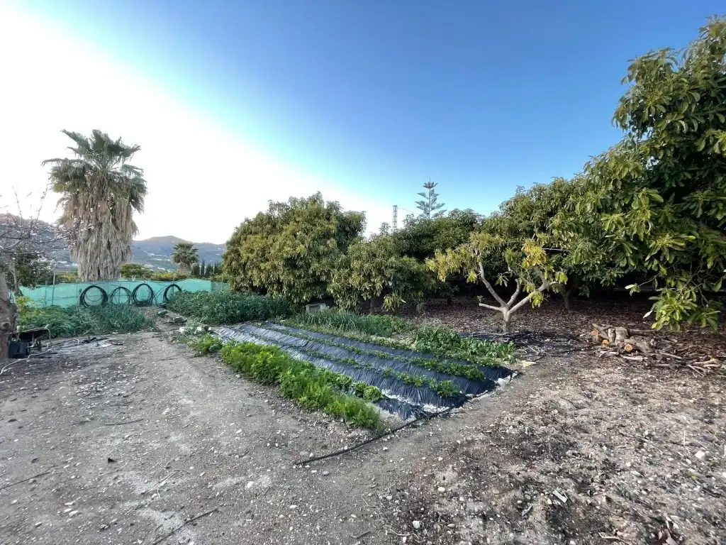 Finca rústica en venta en N/A, Avda Pescia - Ctra de Frigiliana