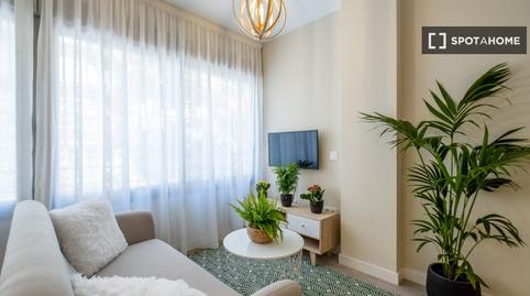 Foto 4 de Estudi per a compartir a La Trinidad, Málaga Capital