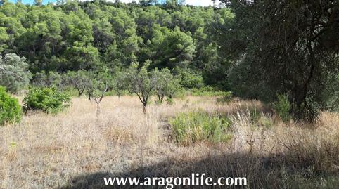 Photo 3 of Country house for sale in N/a, Fabara, Zaragoza