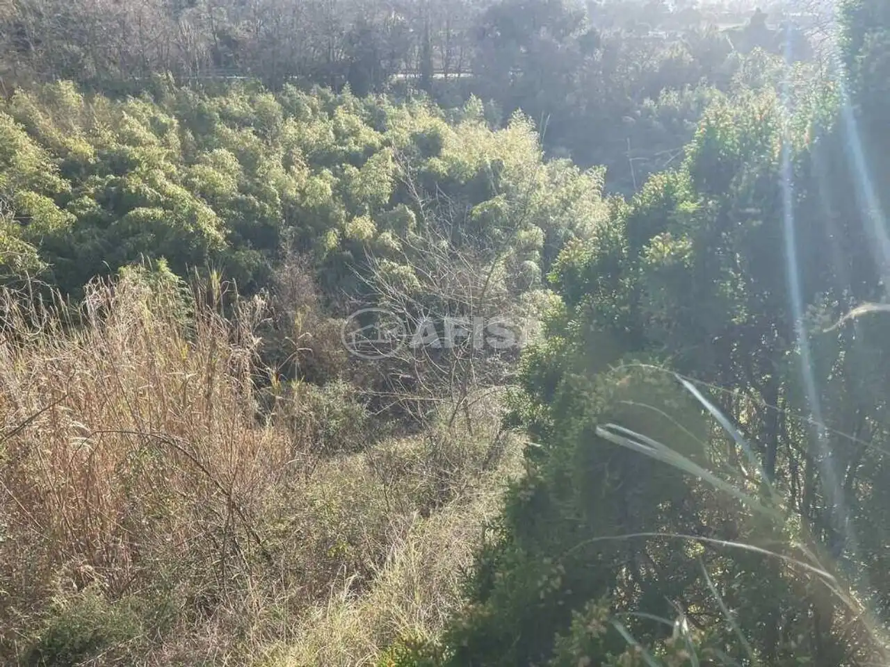 Terreny rústic en venda a Cardedeu, imagen 65