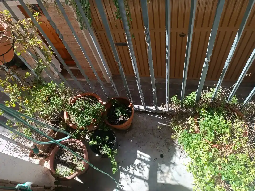 Terrassa de Casa adosada en venda en Ascó amb Balcó