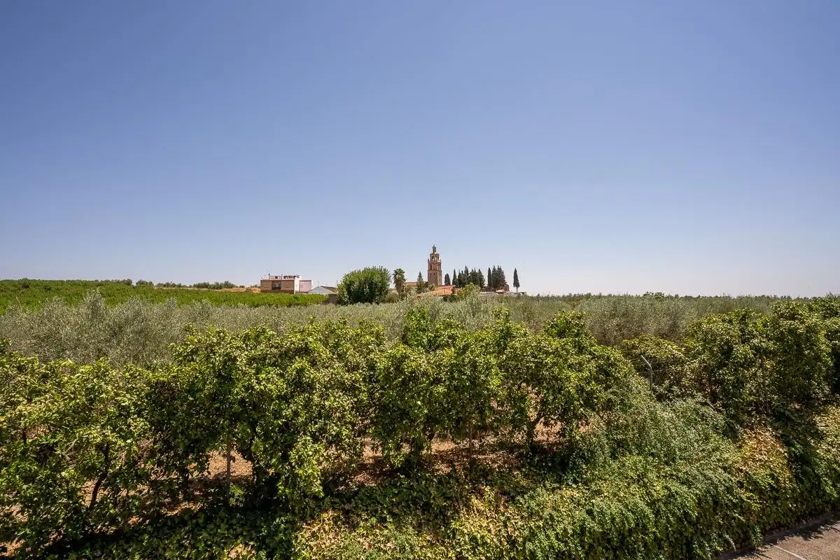 Garten von Country house zum Verkauf in Villanueva del Río y Minas mit Klimaanlage, Abstellraum und Schwimmbad