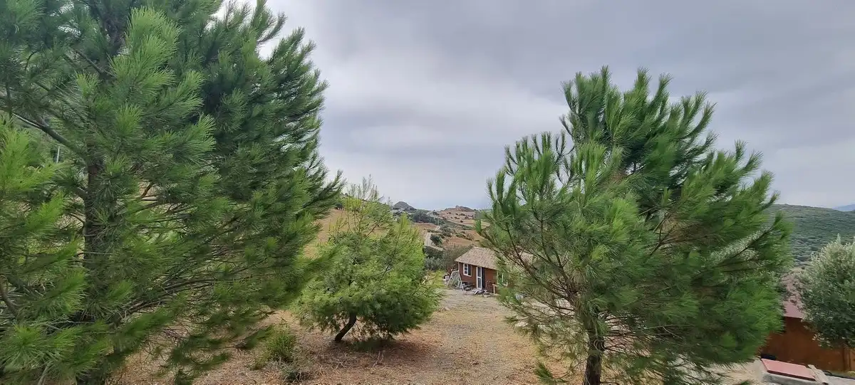 Grundstücke und Bauplätze zum Verkauf in Casares pueblo, imagen 6