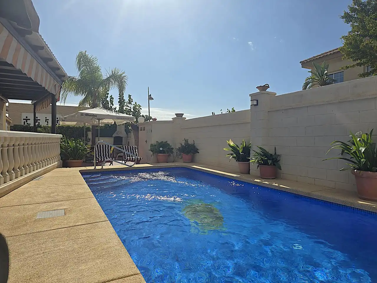 Piscina de Casa o xalet en venda en Coloma  