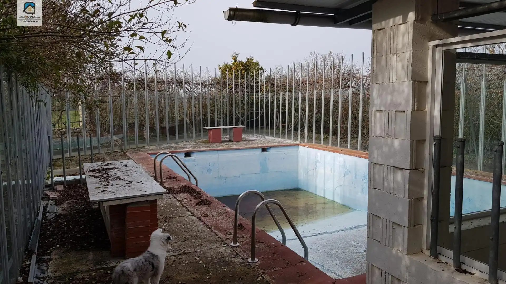 Piscina de Casa o xalet en venda en Palencia amb Jardí privat, Terrassa i Piscina