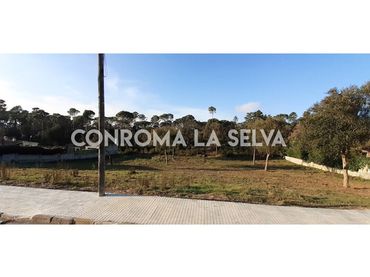 Terreno rústico en venta en Sils