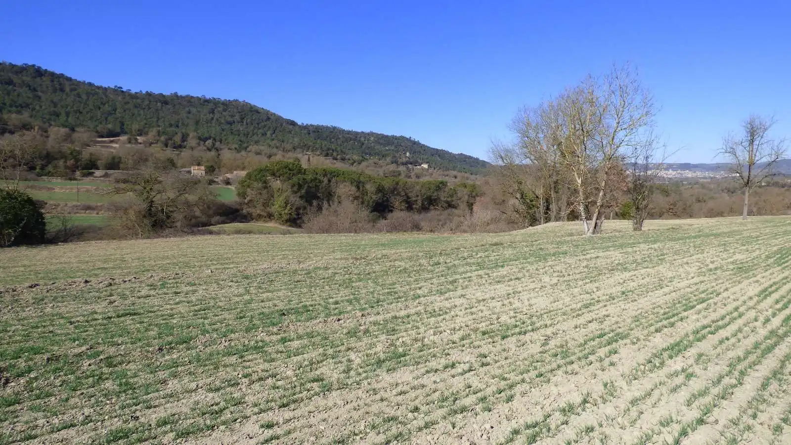 Terreno residencial en venta en Castellterçol, imagen 19