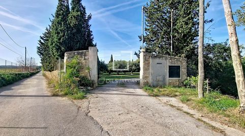 Foto 5 de Finca rústica en venda a Nord, Vilanova i la Geltrú