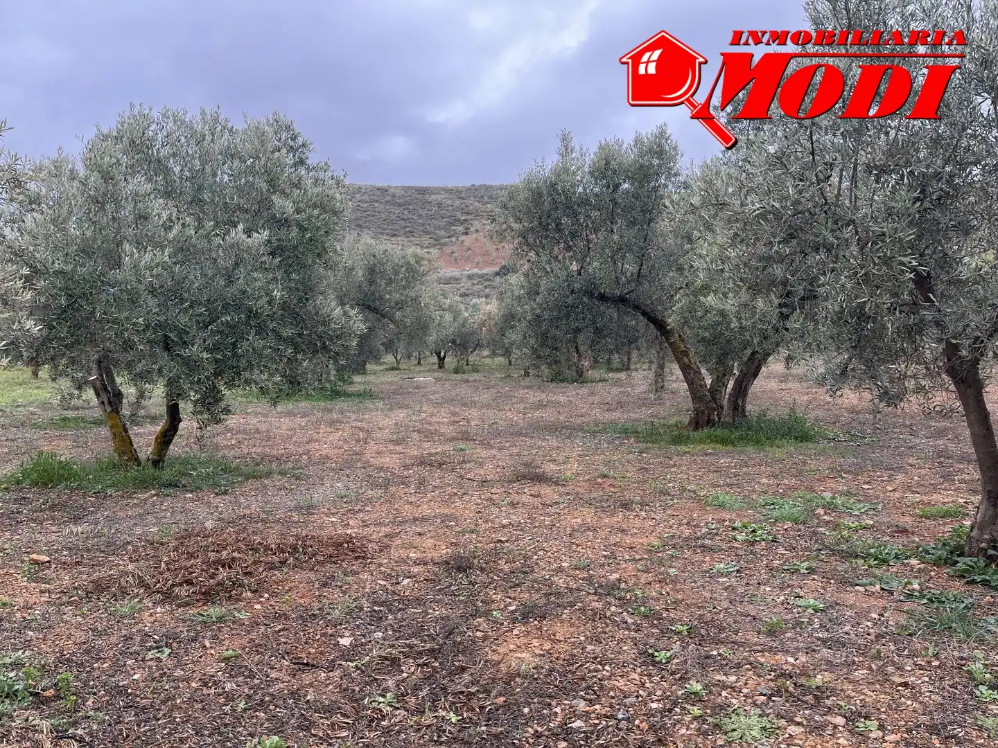 Residencial en venta en Albuñuelas