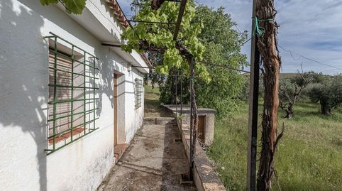 Foto 4 de Finca rústica en venda a de Extraradio, Barrio de la Vega, Monachil