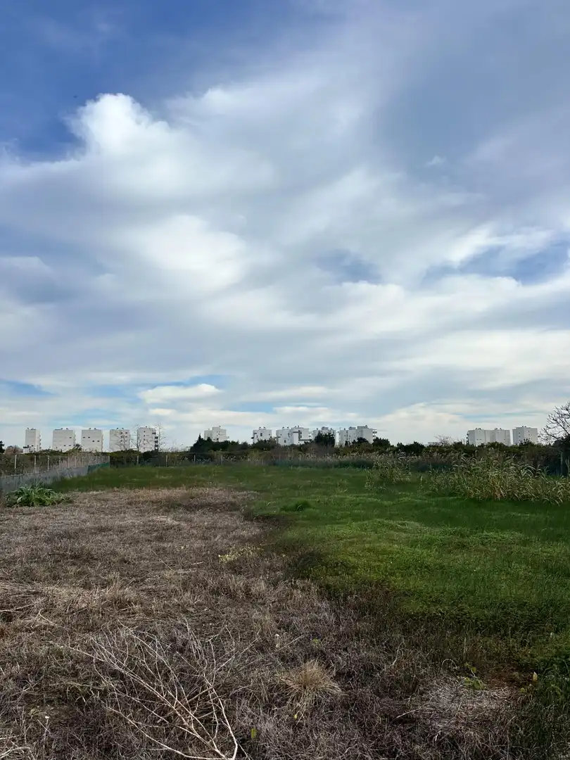 Rustikales Grundstück zum Verkauf in Oliva pueblo, imagen 4