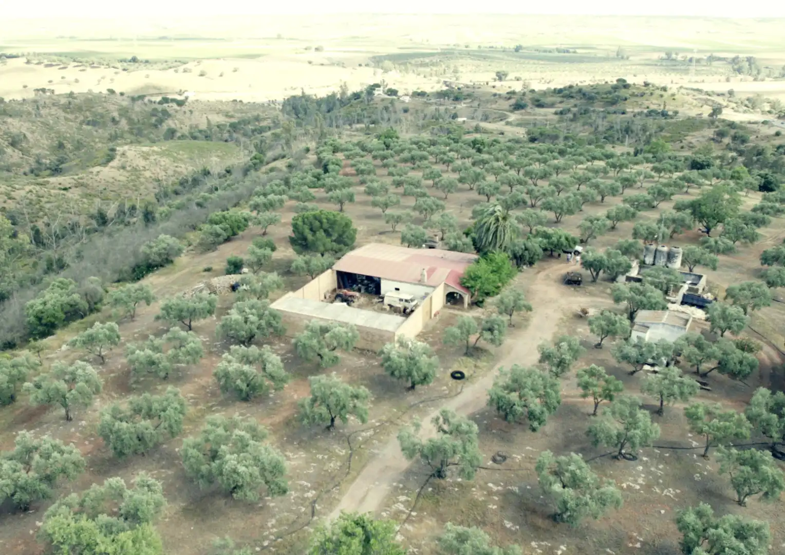 Finca rústica en venta en La Palma del Condado con Jardín privado, Terraza y Trastero