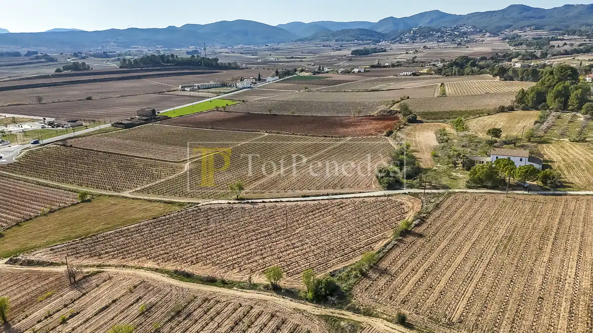 Terreny residencial en venda a Carrer de les Vinyes, imagen 17